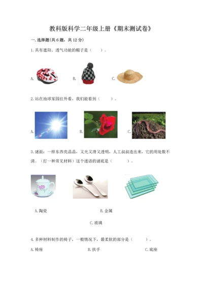 教科版科学二年级上册《期末测试卷》精品（综合题）.docx