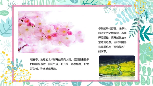 小学语文春天的故事PPT模板
