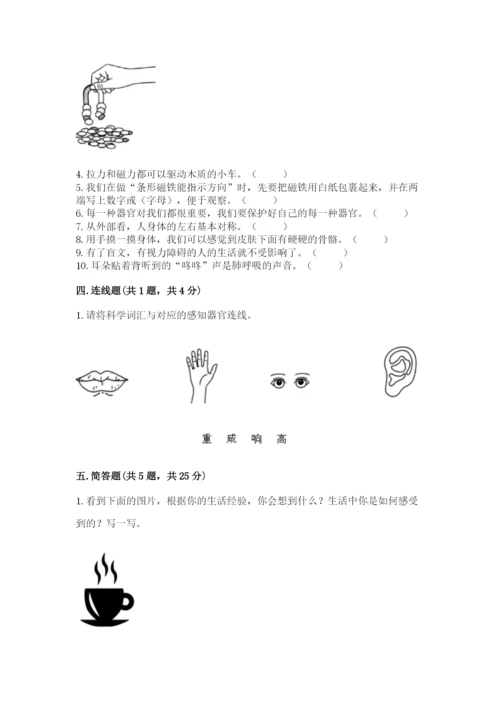 教科版小学科学二年级下册期末测试卷精品【巩固】.docx
