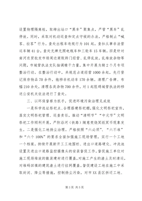 城市管理领域“大排查、大清理、大提升”专项行动开展情况的报告.docx