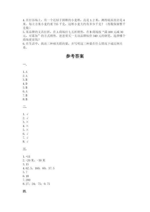 人教版六年级数学小升初试卷（培优b卷）.docx