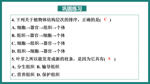 第一单元第三章从细胞到生物体（复习课件）-七年级生物上册同步教学精制课件（人教版2024）(共44张
