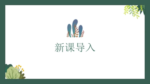 课时7.2.1平行线的概念  课件（共26张PPT）2024-2025七年级下册数学人教（2024）