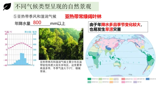 3.4世界的气候 2023-2024学年七年级地理上册同步精品课件（人教版）（共51张ppt)