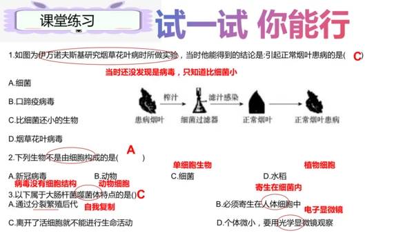 人教版生物七年级上册2.3.4《病毒》（课件）(共19张PPT)+视频素材