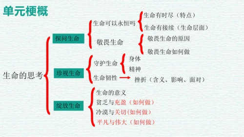 第四单元 生命的思考 复习课件（50张PPT）