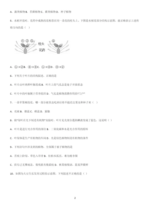 通用版初中生物七年级上册第三单元生物圈中的绿色植物专项训练题.docx