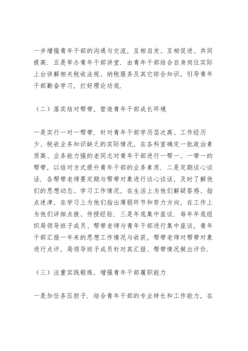 税务系统青年干部培养方案.docx