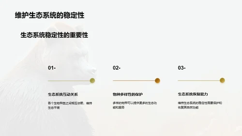 简约风其他行业教学课件PPT模板