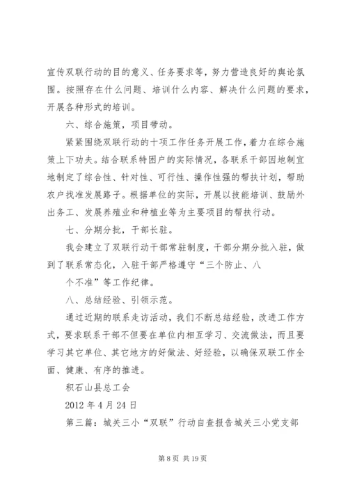 双联行动自查报告.docx
