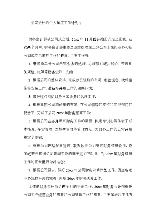 公司会计的个人年度工作计划