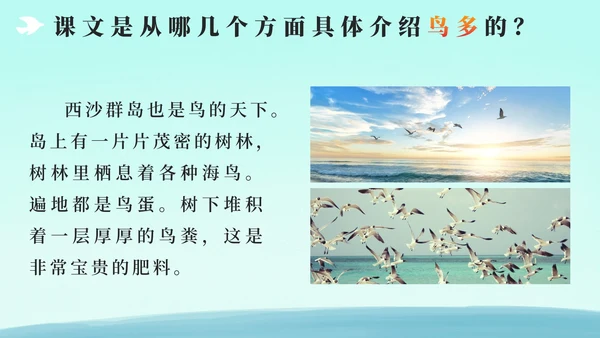 部编版三年级上册第十八课富饶的西沙群岛PPT模板