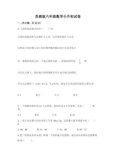 苏教版六年级数学小升初试卷附答案【巩固】.docx