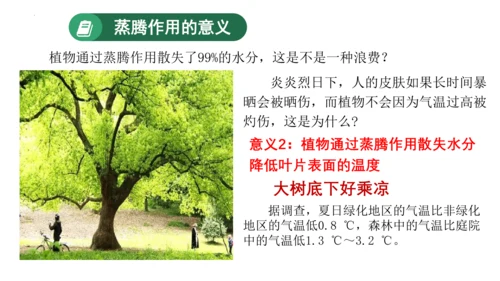 3.3 绿色植物与生物圈的水循环（课件）七年级生物上学期（人教版）(共25张PPT)