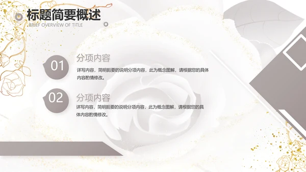 公司企业品牌化妆品介绍宣传PPT
