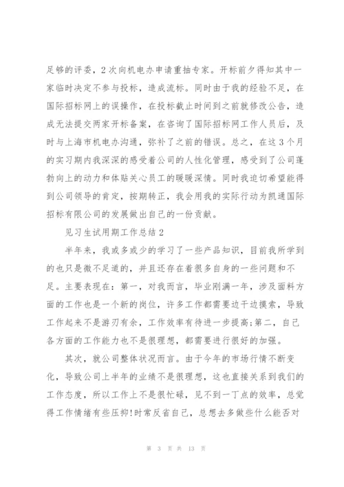 见习生试用期工作总结.docx