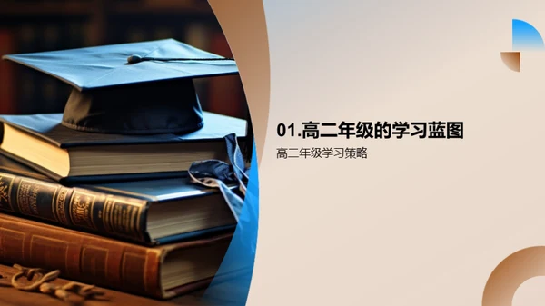 高二学年全方位规划