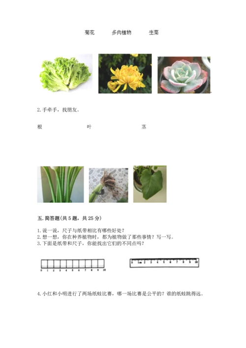 教科版一年级上册科学期末测试卷带答案（实用）.docx