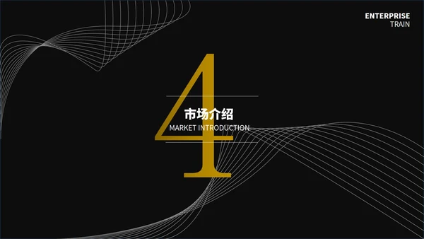 黑色简约线条创业计划书通用PPT模板