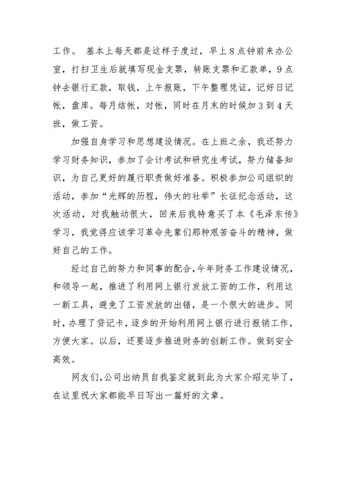 2017年公司出纳员自我鉴定