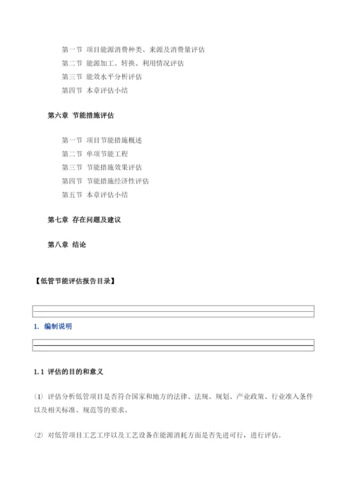 低管项目节能评估报告模板.docx