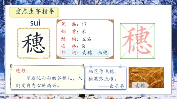 【核心素养】部编版语文四年级下册-11.白桦 第1课时（课件）