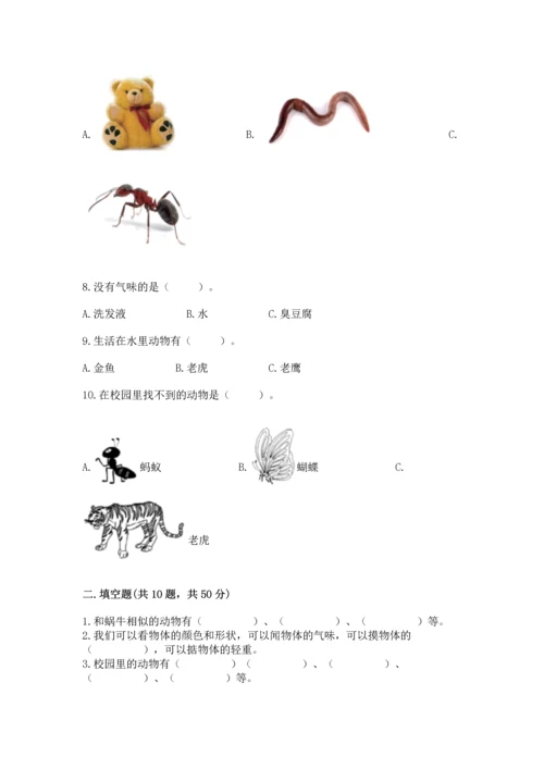 教科版一年级下册科学期末测试卷【能力提升】.docx