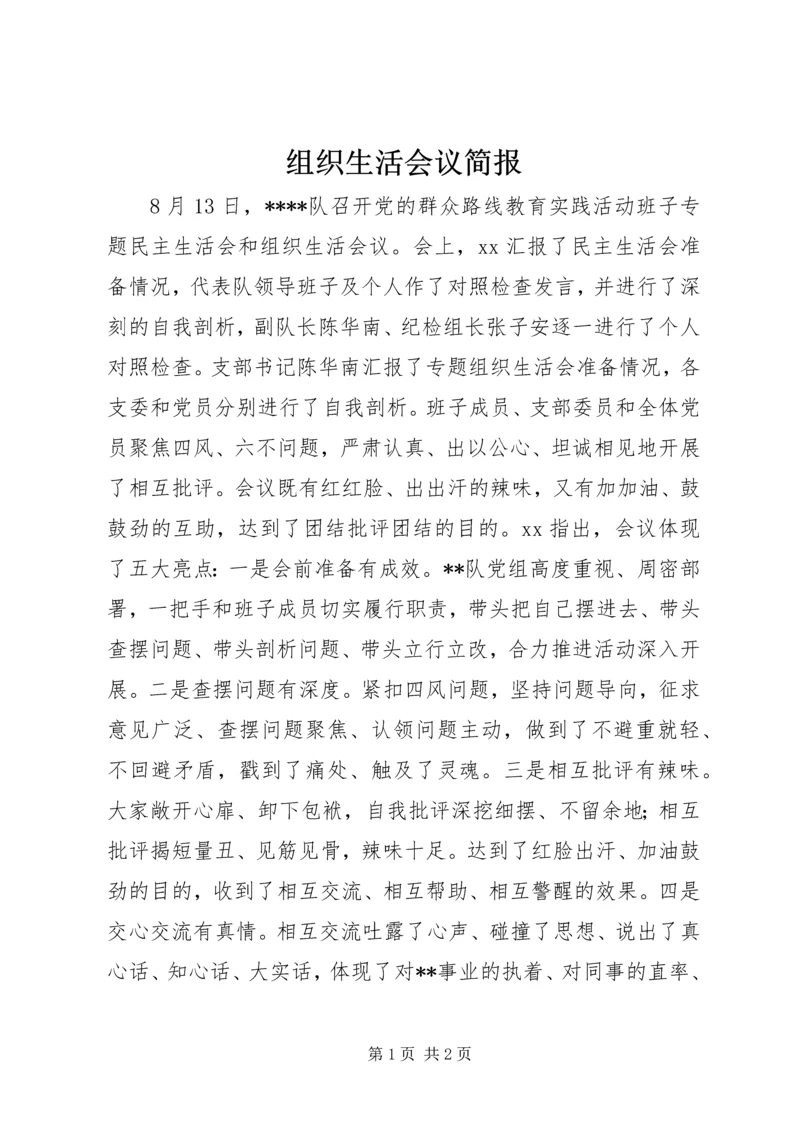 组织生活会议简报.docx