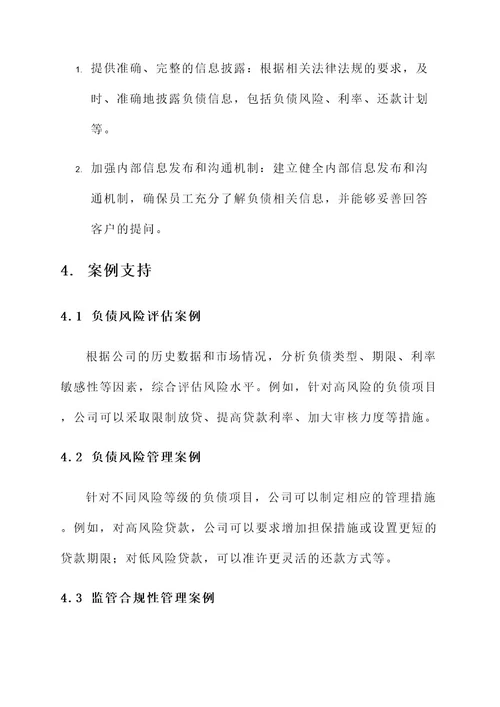 公司负债风控方案