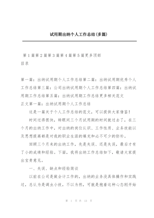 试用期出纳个人工作总结(多篇).docx