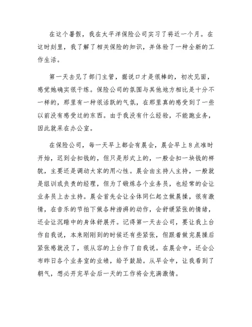 保险公司实习工作个人总结