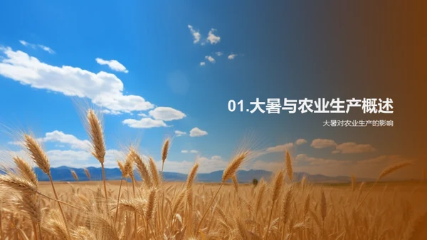大暑农业应对策略