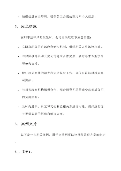 公司刑事法律风险管理方案