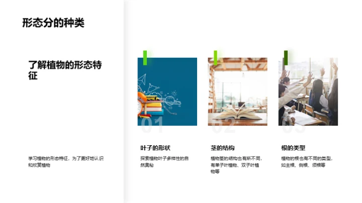 探索植物的奥秘