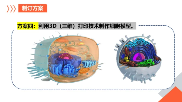 综合实践项目单元小结-【备课优选】七年级生物上学期同步精品课件（2024人教版）(共19张PPT)