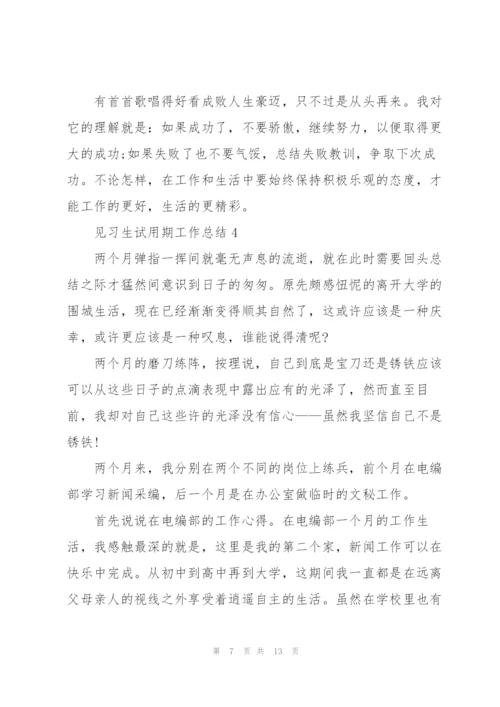 见习生试用期工作总结.docx