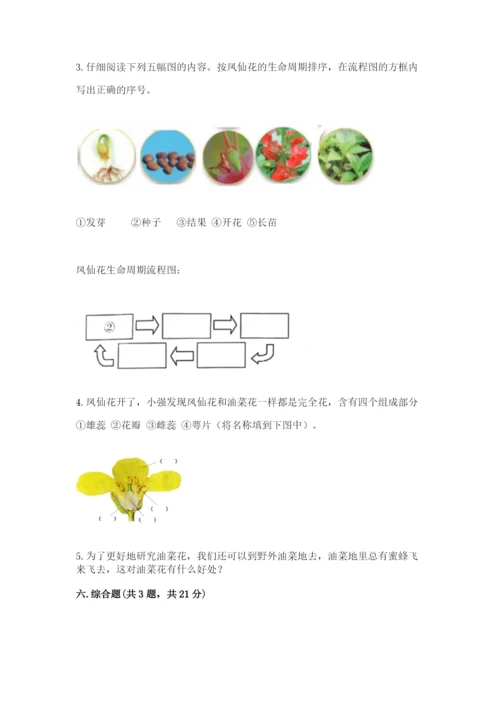 科学四年级下册第一单元植物的生长变化测试卷及答案.docx