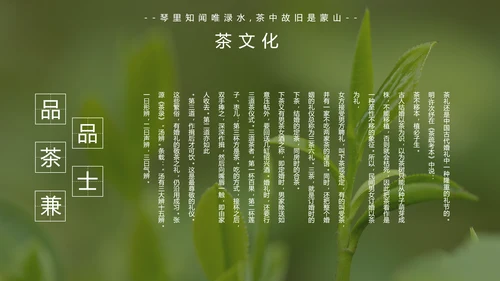 中国传统茶文化茶艺宣传PPT模板
