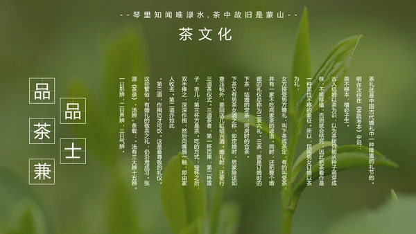 中国传统茶文化茶艺宣传PPT模板