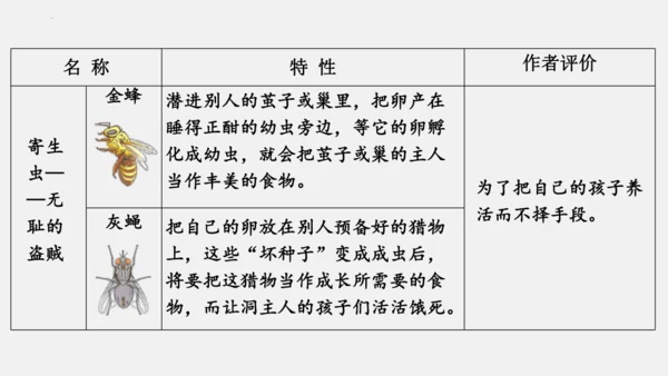 八年级上册语文第五单元 名著导读 《昆虫记》 课件