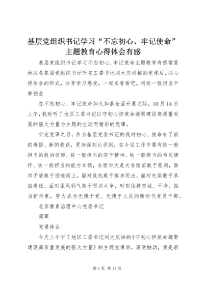 基层党组织书记学习“不忘初心、牢记使命”主题教育心得体会有感.docx