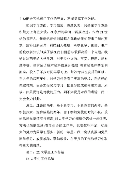 -XX年大学生工作总结