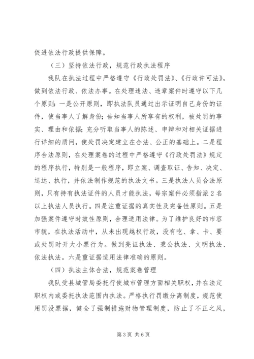 城管大队行政执法自查自纠报告.docx