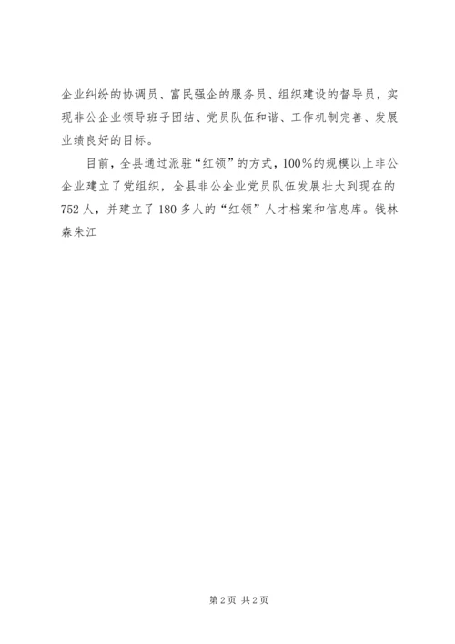 先锋引领领航非公企业党建_1.docx