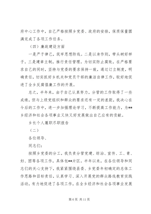 乡长个人履职尽职报告.docx