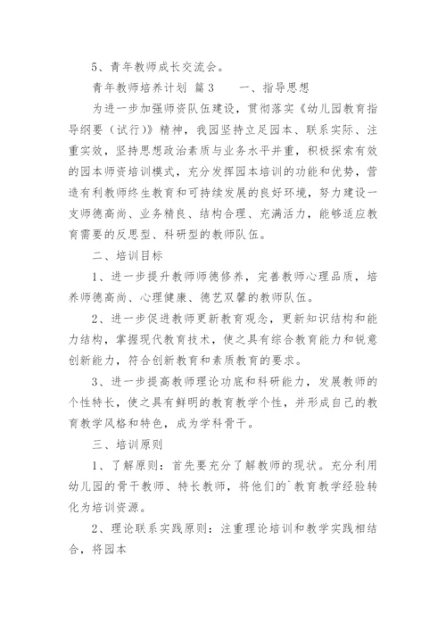 青年教师培养计划.docx