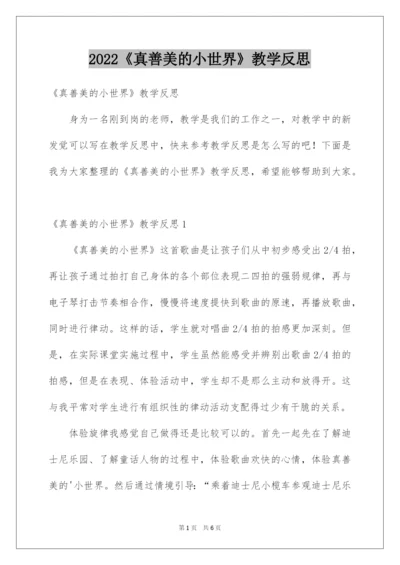 2022《真善美的小世界》教学反思.docx