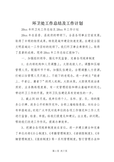 环卫处工作总结及工作计划 (2).docx