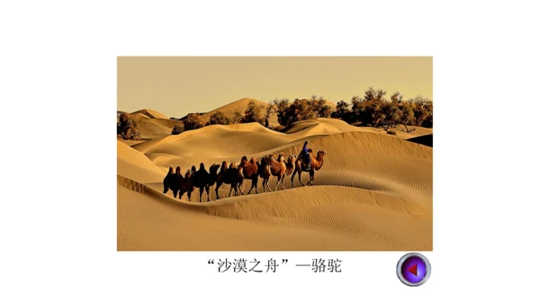 8.1 中东（课件51张）-七年级地理下册（人教版）