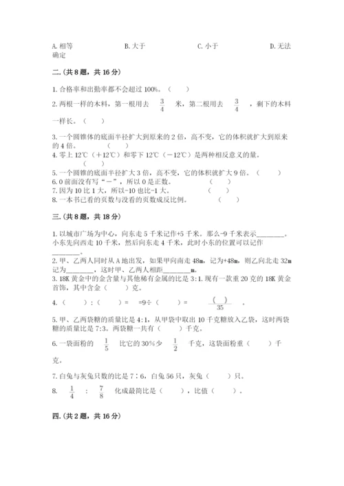 小学六年级下册数学摸底考试题精品（名师系列）.docx